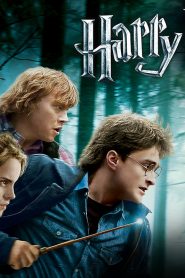 Harry Potter and the Deathly Hallows: Part 1 (2010) Malay Subtitle