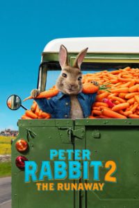 Peter Rabbit 2: The Runaway (2021) Malay Subtitle