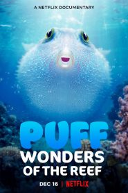 Puff: Wonders of the Reef (2021) Malay Subtitle
