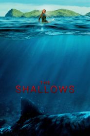 The Shallows (2016) Malay Subtitle