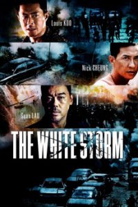 The White Storm (2013) Malay Subtitle