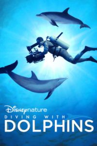 Diving with Dolphins (2020) Malay Subtitle