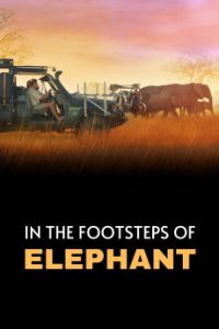 In the Footsteps of Elephant (2020) Malay Subtitle