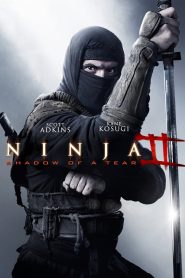 Ninja Shadow of a Tear (2013) Malay Subtitle