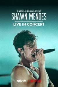Shawn Mendes: Live in Concert (2020) Malay Subtitle