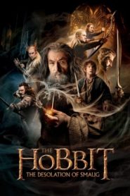 The Hobbit: The Desolation of Smaug Extended Edition (2013) Malay Subtitle