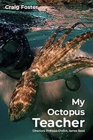 My Octopus Teacher (2020) Malay Subtitle