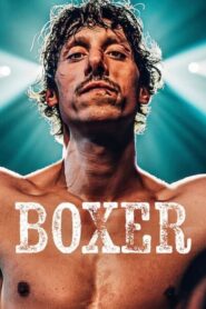 Boxer (2024) Malay Subtitle – Bokser