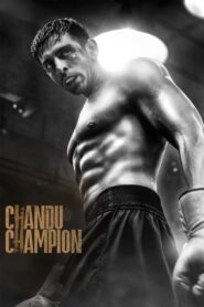 Chandu Champion (2024) Malay Subtitle